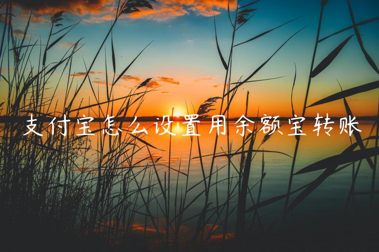 支付寶怎么設(shè)置用余額寶轉(zhuǎn)賬